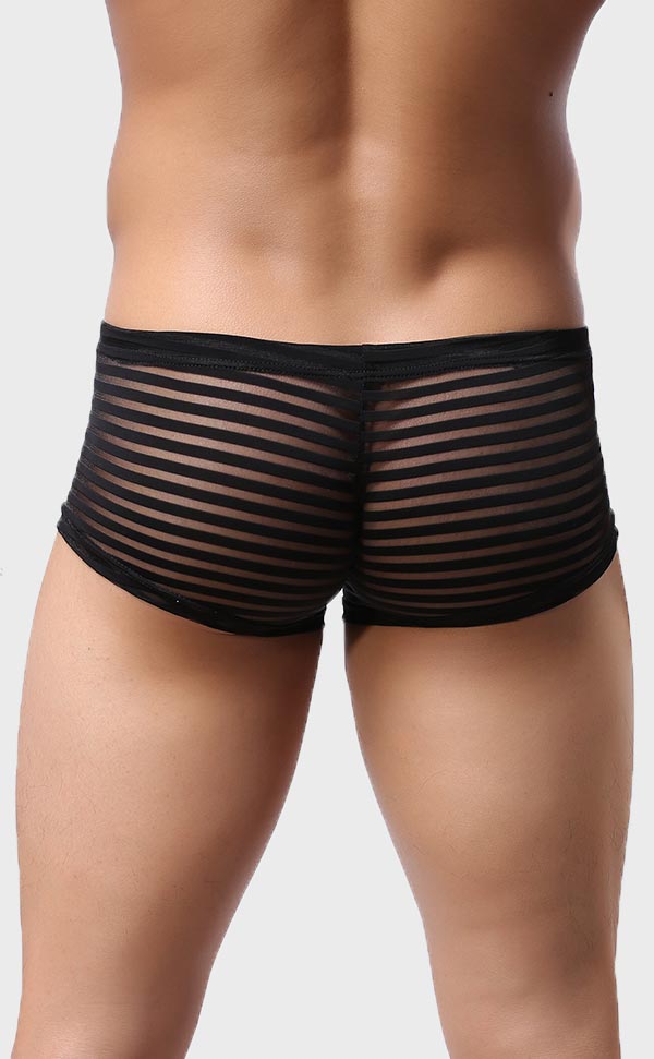 Men’s Sheer Stripe Mesh Trunk