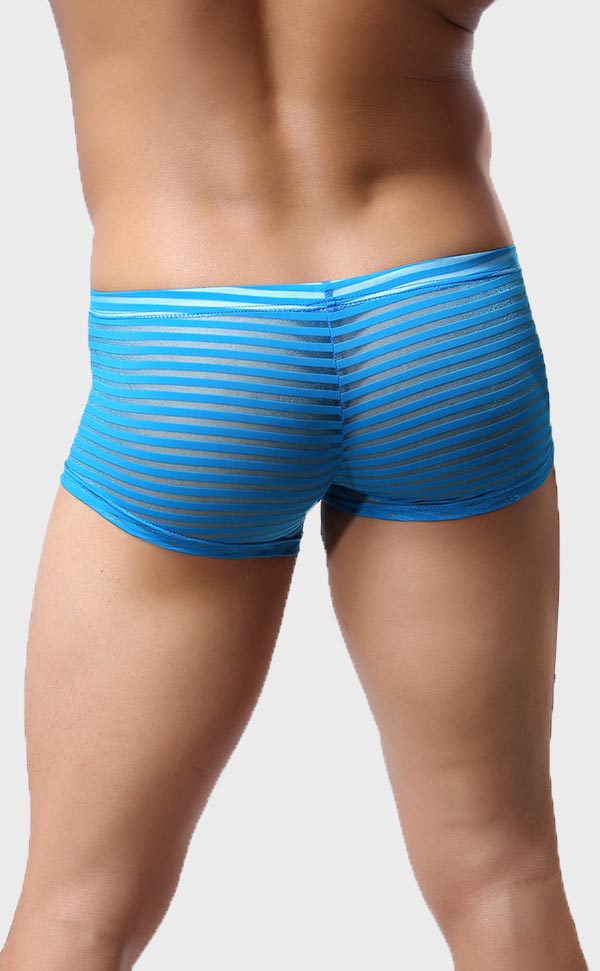 Men’s Sheer Stripe Mesh Trunk