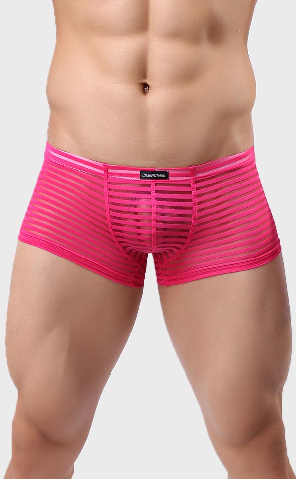 Men’s Sheer Stripe Mesh Trunk