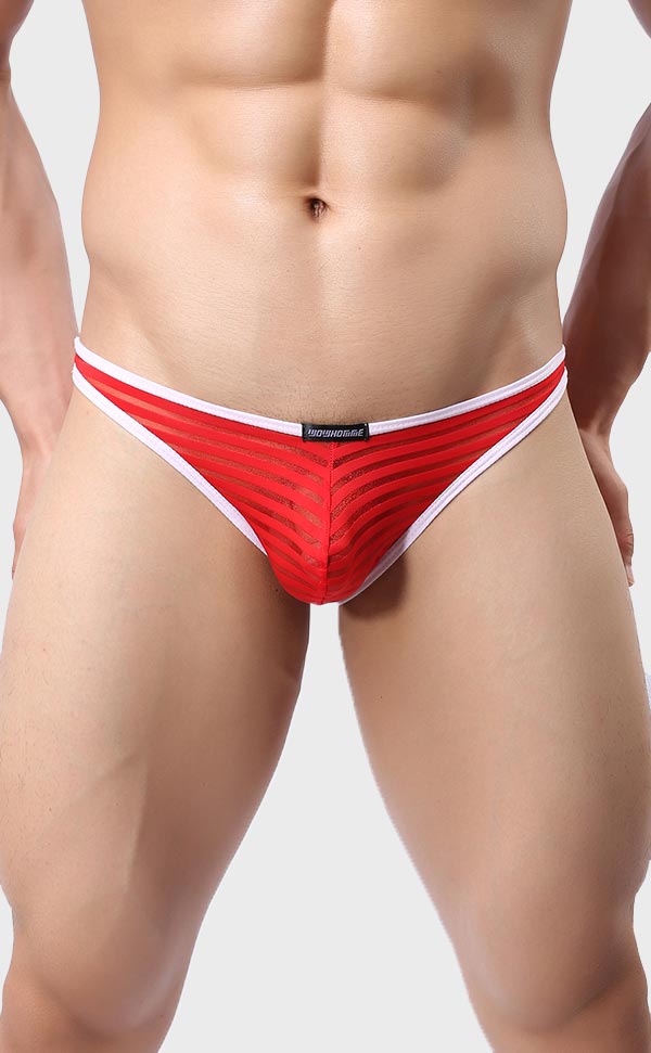 Men’s Sheer Stripe Mesh Bikini