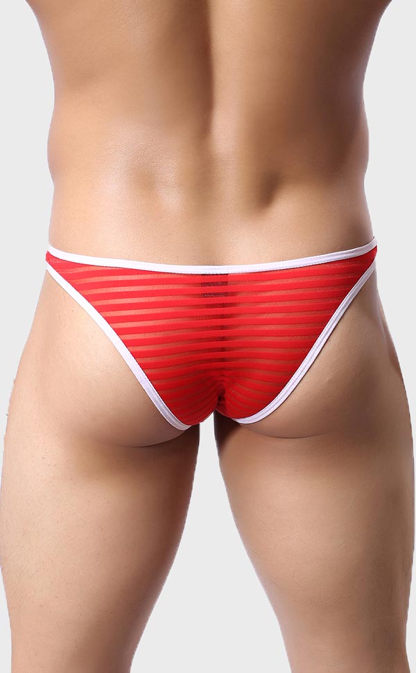 Men’s Sheer Stripe Mesh Bikini