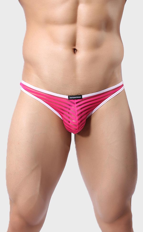 Men’s Sheer Stripe Mesh Bikini