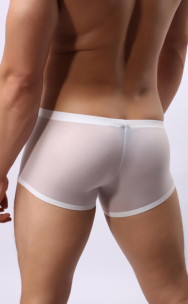 Men's Ultra-Thin Silky U-Shape Trunks