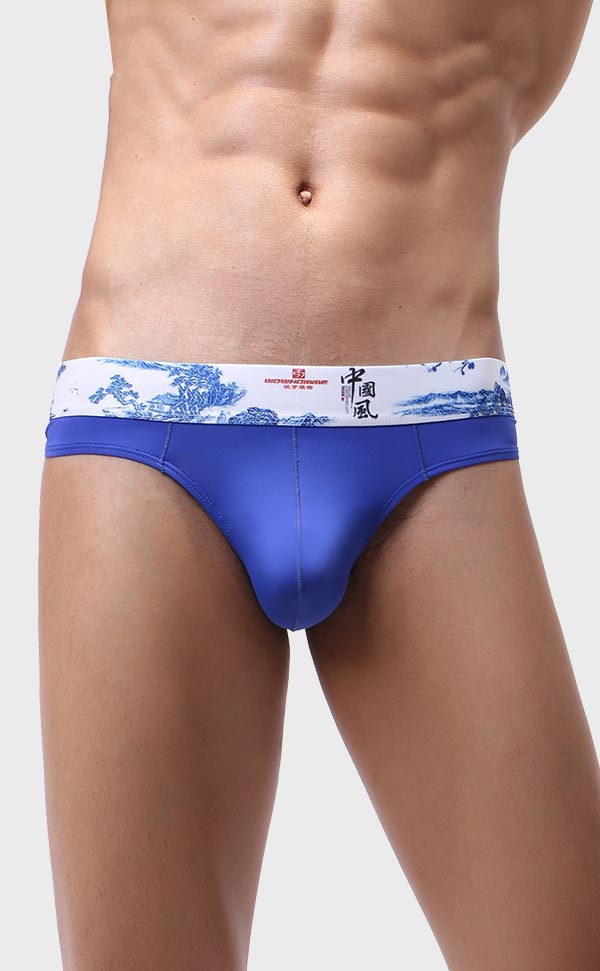 Men's Soft Printing Wide Waist Bikini