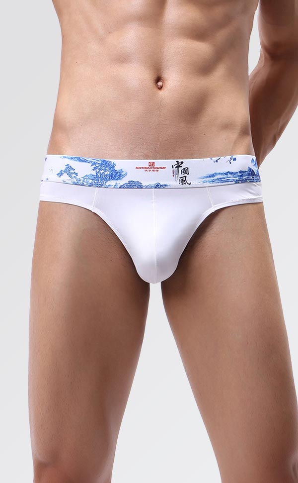 Men's Soft Printing Wide Waist Bikini