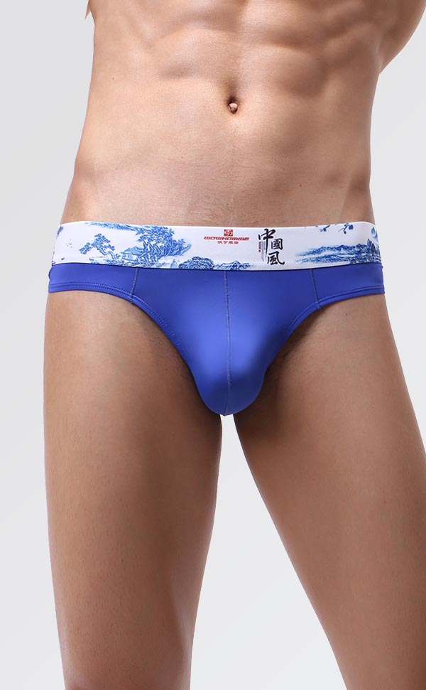 Men's Soft Printing Wide Waist Bikini