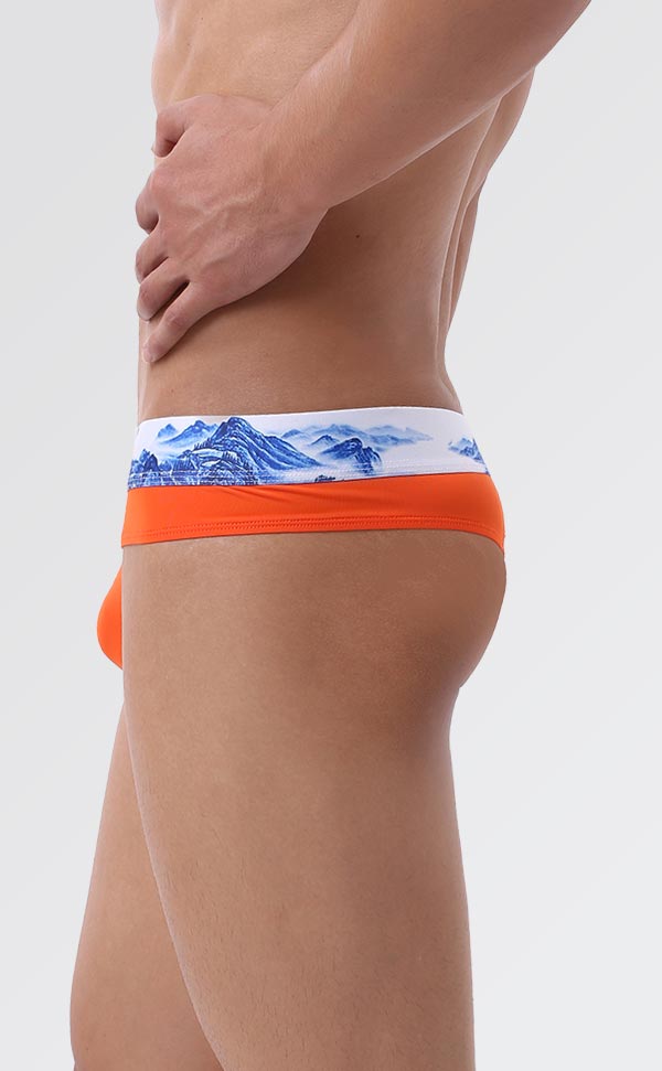 Men's Soft Printing Wide Waist Bikini