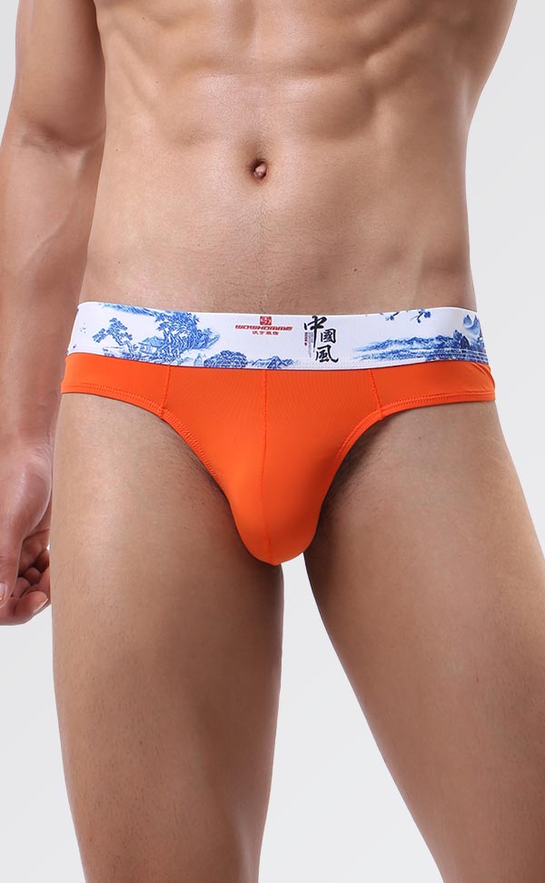 Men's Soft Printing Wide Waist Bikini