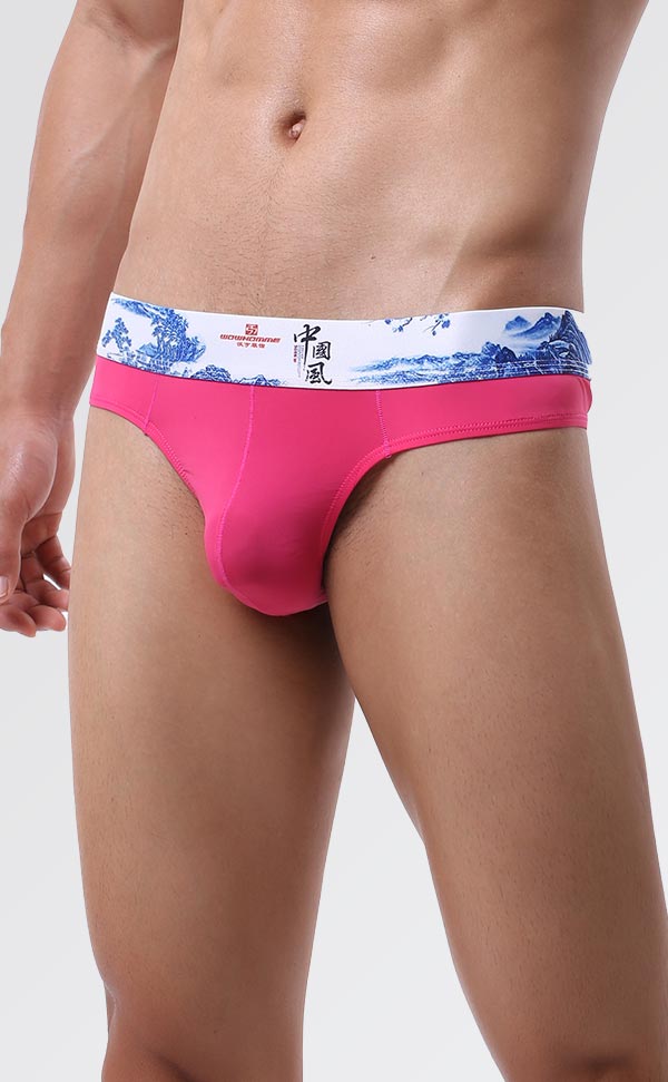 Men's Soft Printing Wide Waist Bikini