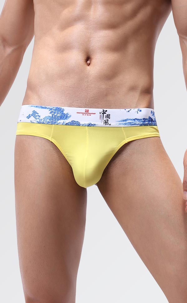 Men's Soft Printing Wide Waist Bikini