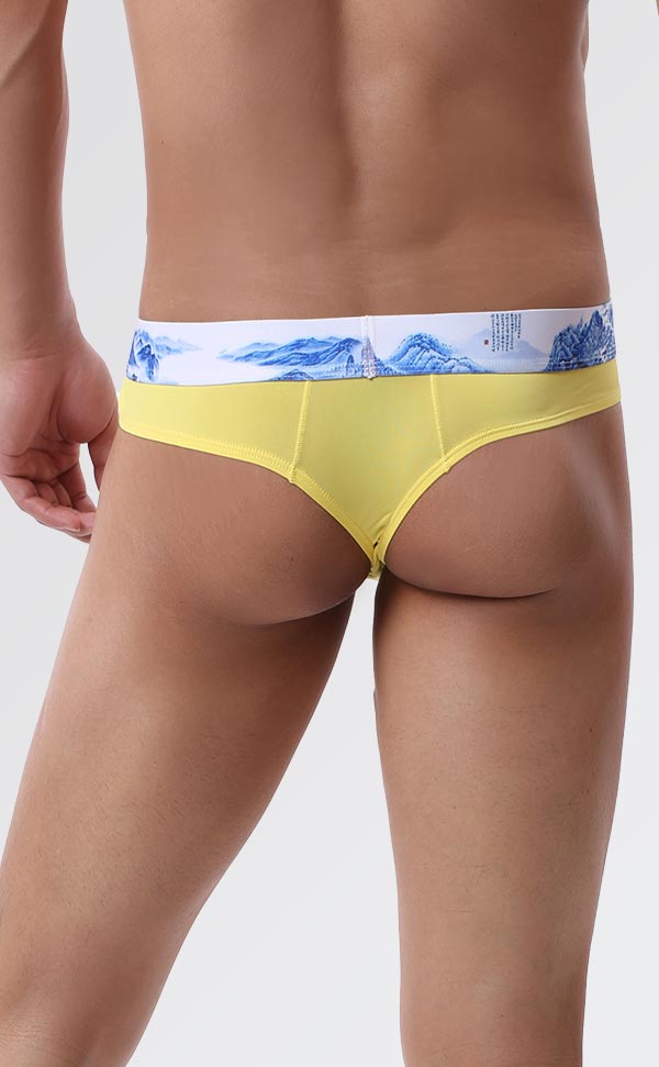 Men's Soft Printing Wide Waist Bikini