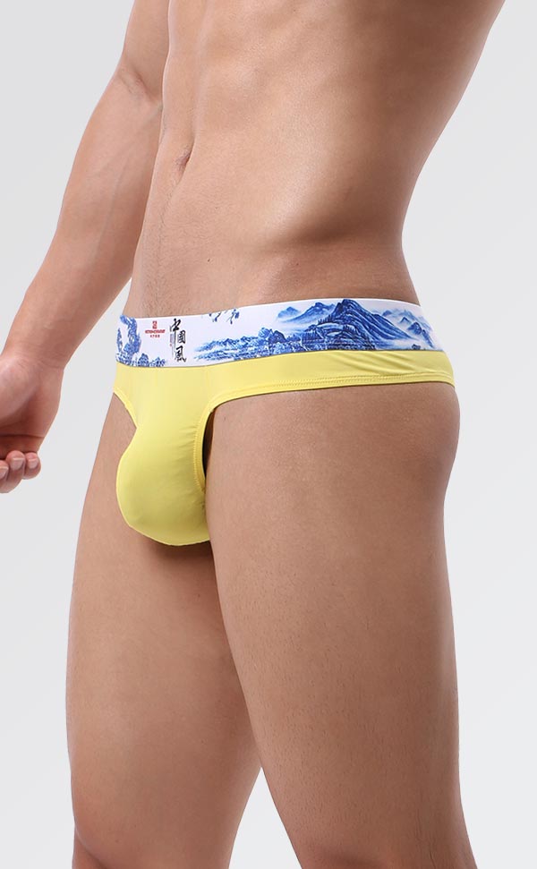 Men's Soft Printing Wide Waist Bikini