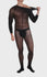 30D Semi Sheer Long Sleeve Bodystockings