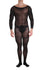 30D Semi Sheer Long Sleeve Bodystockings