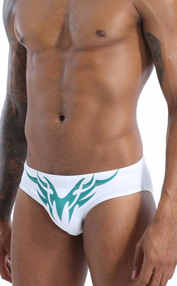 Swim Briefs with Cup Sponge Pad