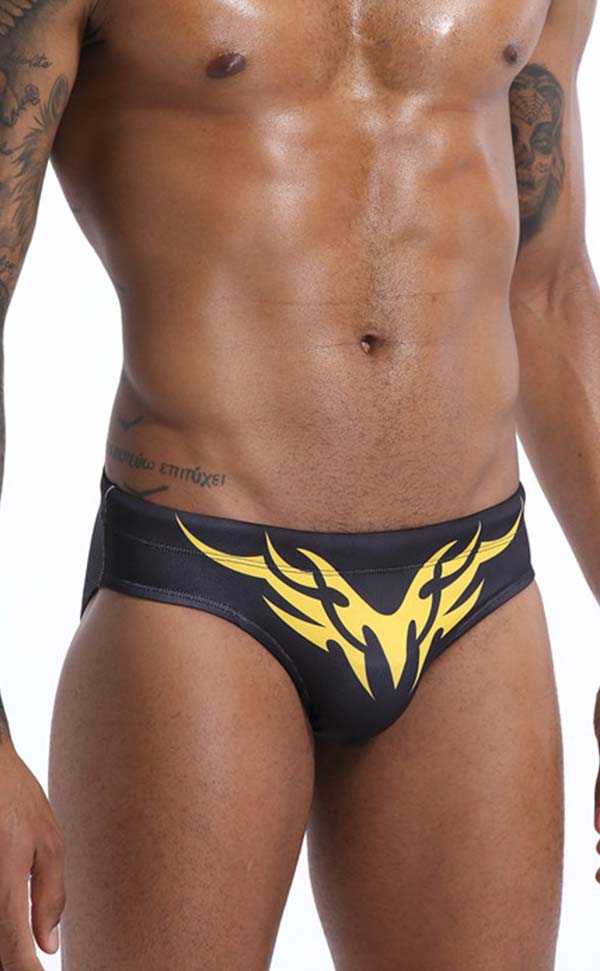 Swim Briefs with Cup Sponge Pad