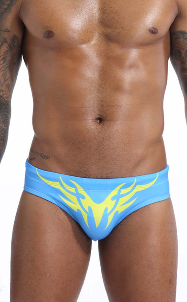 Swim Briefs with Cup Sponge Pad