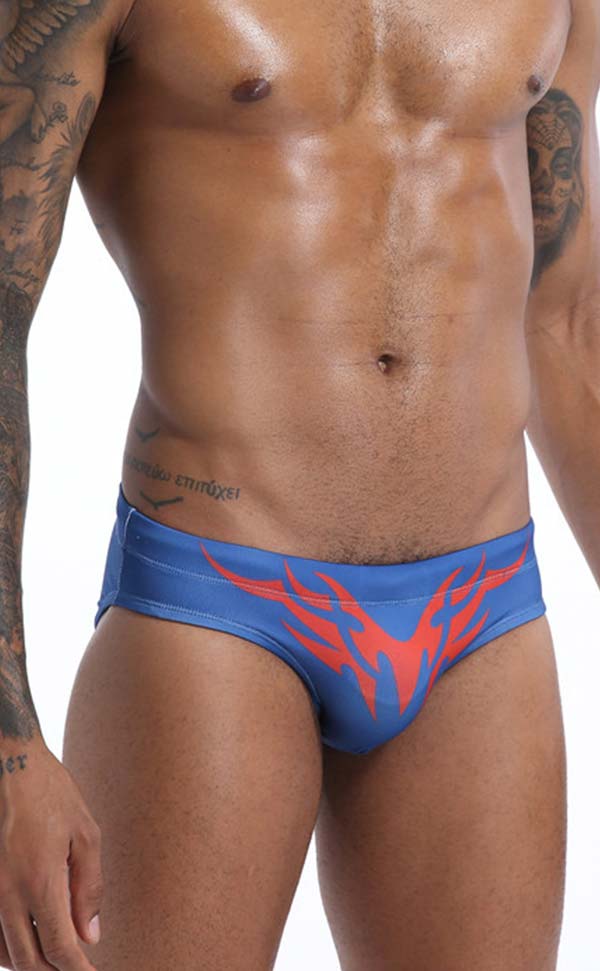 Swim Briefs with Cup Sponge Pad