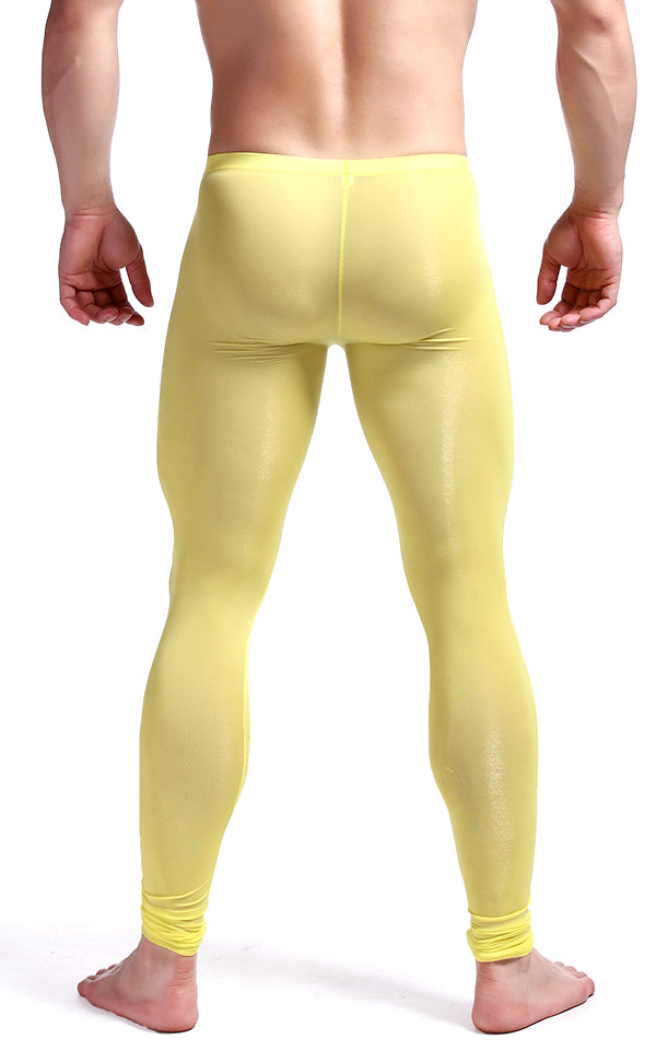 Ice Silk Yoga Gym leggings