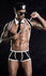 products/shpfPicsD37265shpfPicsE.jpg