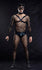 products/shpfPicsD37273shpfPicsE.jpg