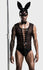 Sexy Rabbit Costume Set for Man
