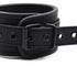 products/shpfPicsD37583shpfPicsE.jpg