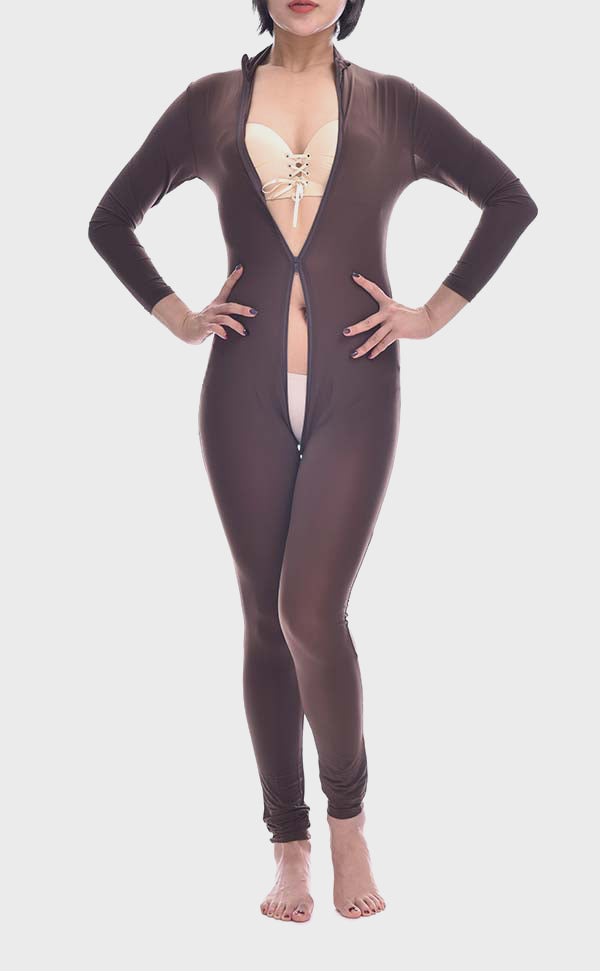 Sheer Long Sleeve Jumpsuit