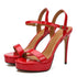 Open Toe Platform High Heel Sandals