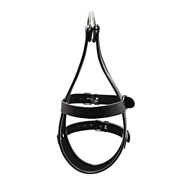 Leather Head Harness