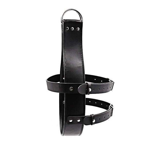 Leather Head Harness