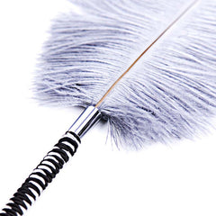 Body Tickler Ostrich Feather Tickler