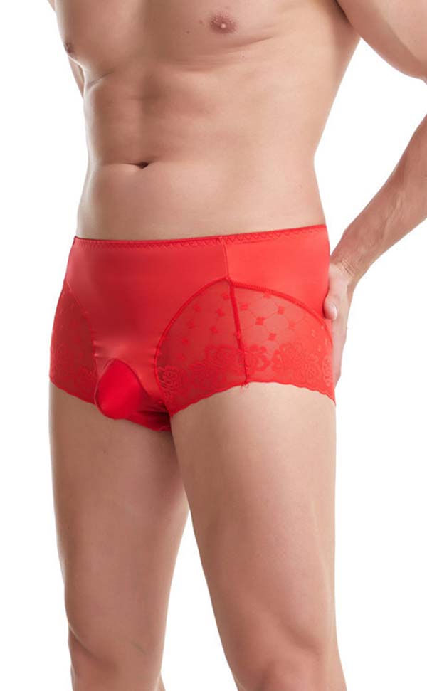 Large Silk Briefs with Pouch