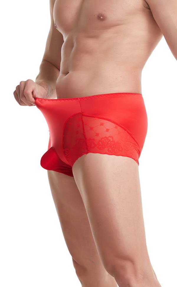 Large Silk Briefs with Pouch