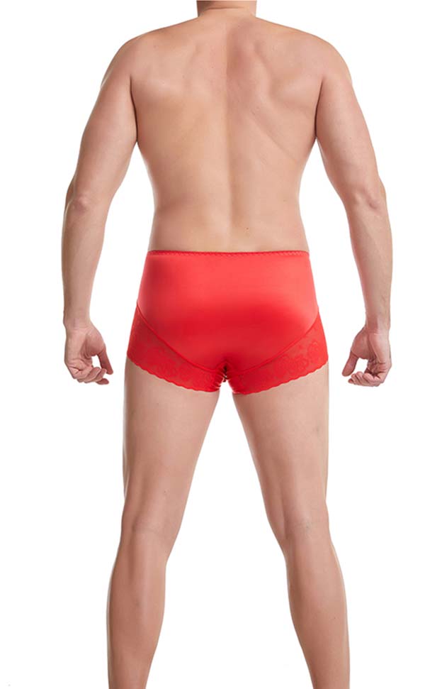 Large Silk Briefs with Pouch